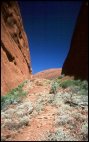 Valley of the winds walk