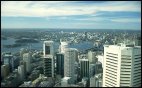 View from Sydney Tower