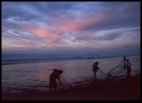 Ninety mile beach fishing