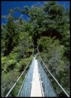 River crossing in Abel Tasman