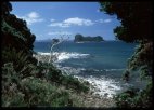 Coromandel view