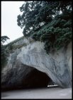 Cathedral Cove