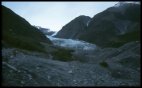 Fox glacier