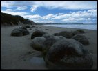 Moeraki Boulders