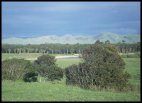 On the road to Napier