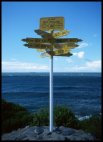 Bluff sign post