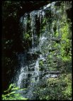 Matai falls