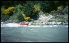 Shotover Jet Boat cruise