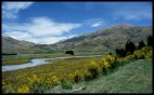 Southern Alps