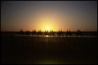 Cable Beach Camel Ride