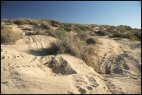 Dunes