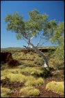 Karijini Scenery