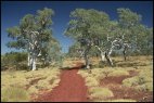 Karijini Scenery