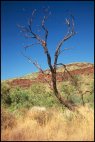 Pilbara Scenery