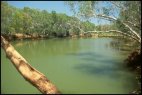 Fortescue River Scenery