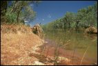 Fortescue River Scenery