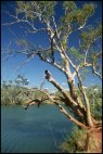 Fortescue River Scenery