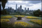 Perth from Kings Park