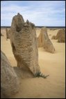 Pinnacles