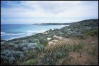 Rottnest Island