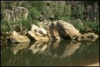 Windjana Gorge