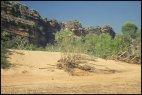 Windjana Gorge