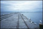 Busselton Jetty