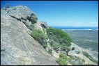 Frenchman Peak View