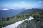 Bluff Knoll Trail