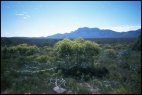 Stirling Range Ntl Park