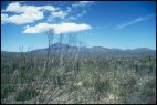 Stirling Range Ntl Park