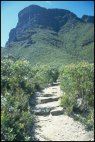 Bluff Knoll Trail