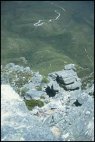 View from Bluff Knoll