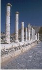 Bet Shean pillars