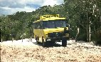 Fraser Island tour