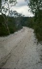 Fraser island road