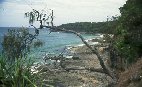 Noosa National Park