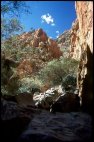 Standley Chasm