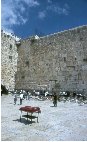 Kotel Ma'aravi