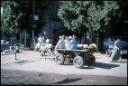 Enroute to the market