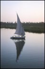 Egyptian felucca