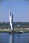 Egyptian felucca