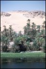 Nile landscape